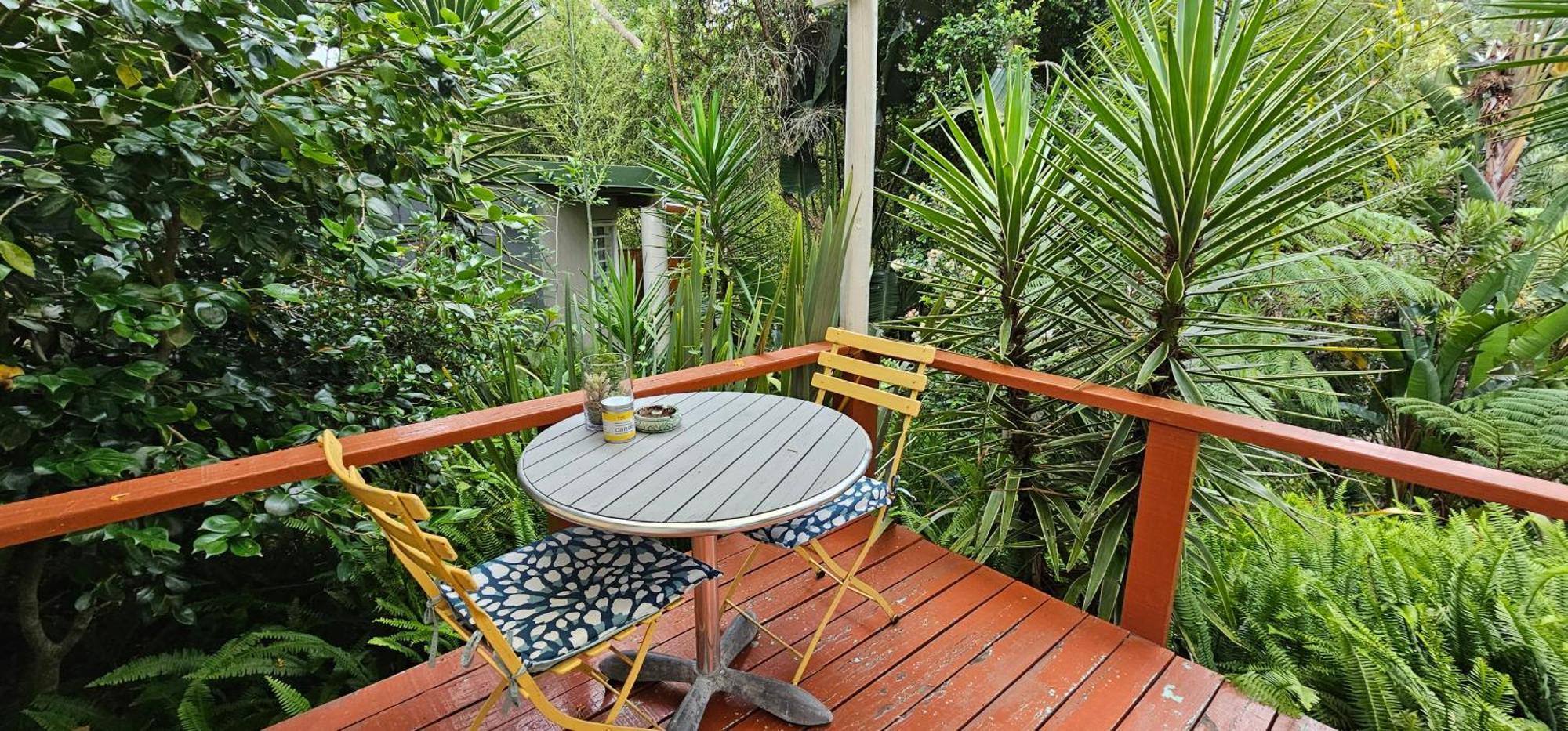 The Bamboo Lodge In Knysna Buitenkant foto