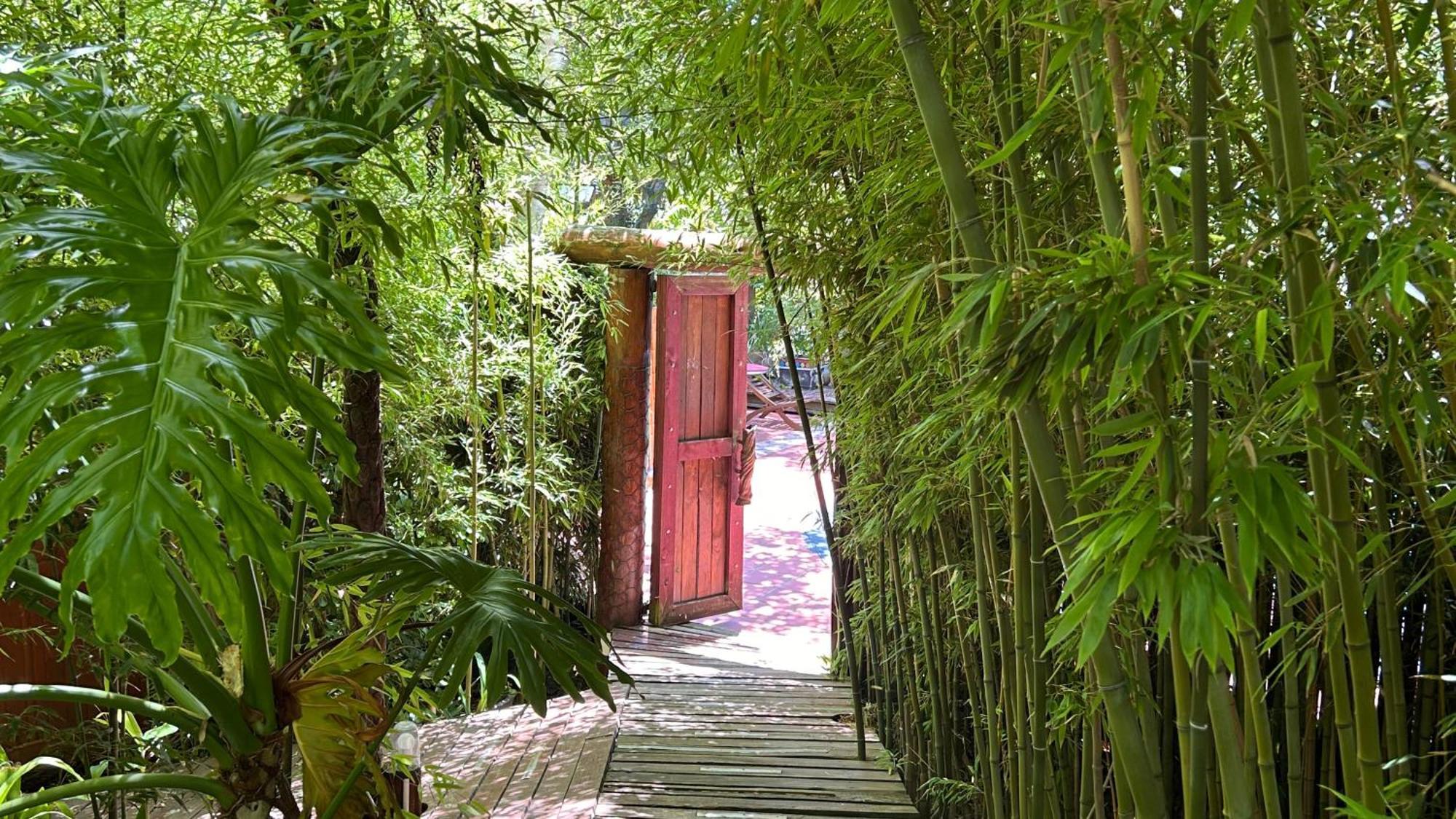 The Bamboo Lodge In Knysna Buitenkant foto